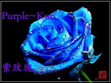 蓝色妖姬娱乐,揭秘影视娱乐产业的璀璨明珠