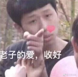 钻冰箱表情包,趣味横生的网络新宠